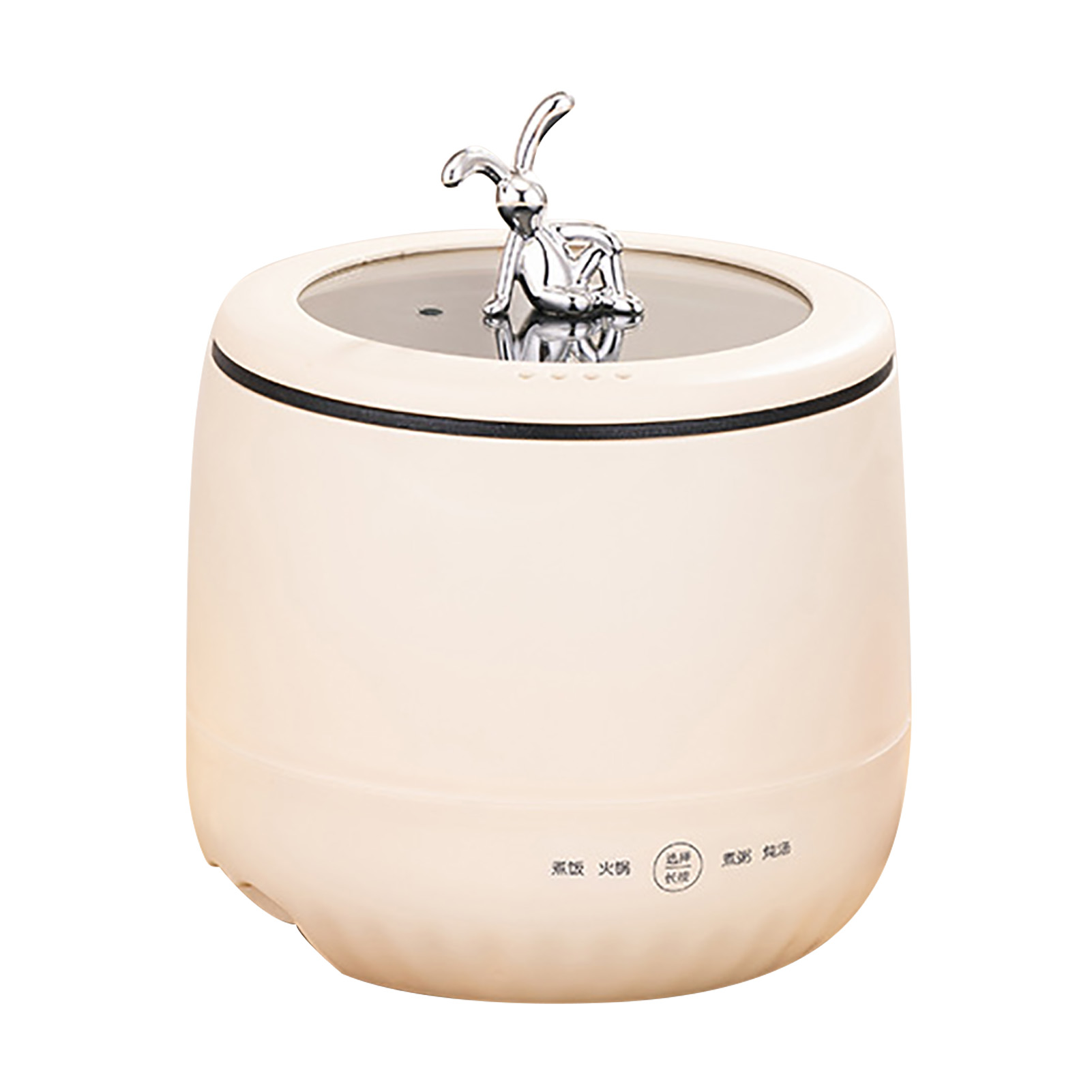 Smart Electric Mini Rice Cooke - Meal Prep With Rice review and price