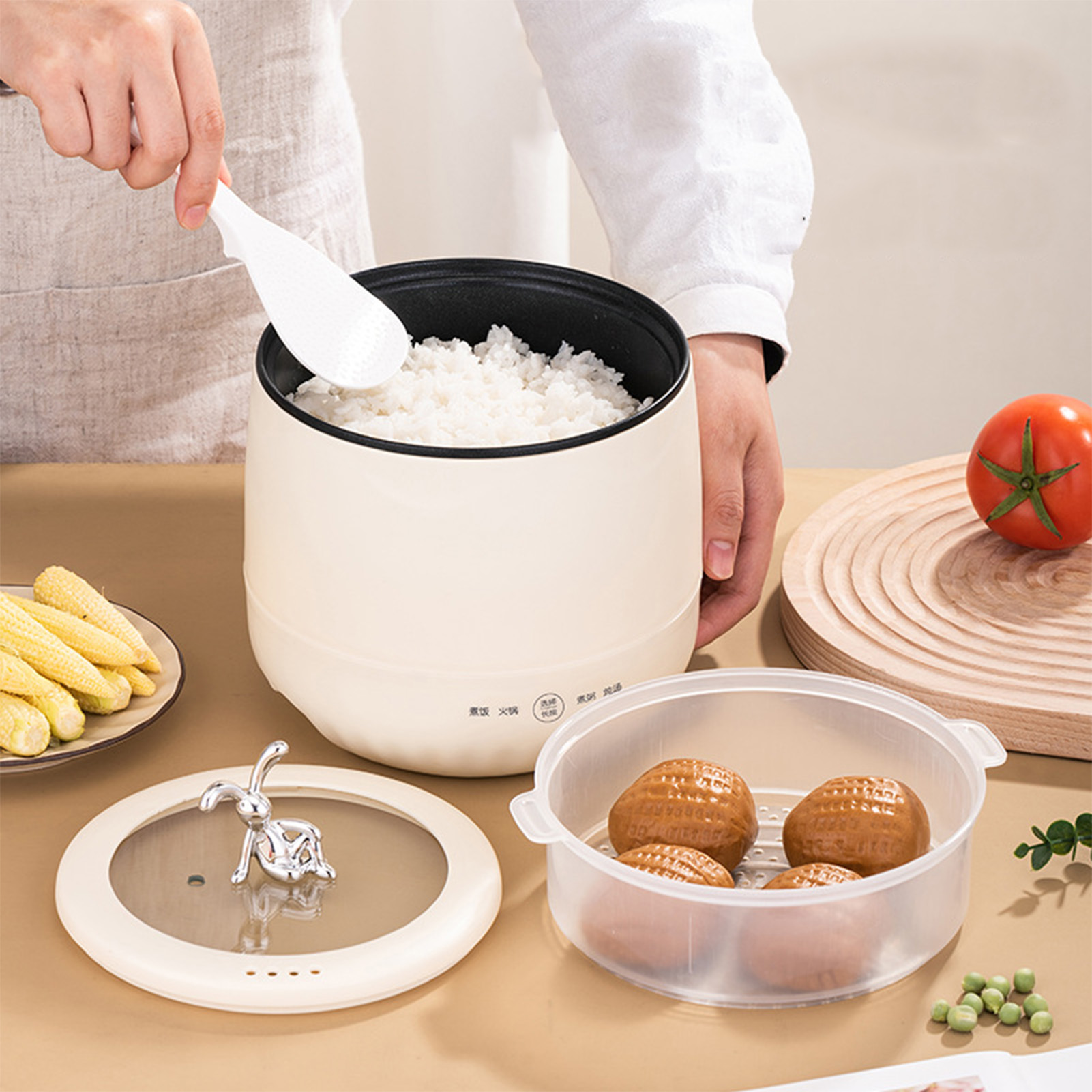 Smart Electric Mini Rice Cooke - Meal Prep With Rice review and price