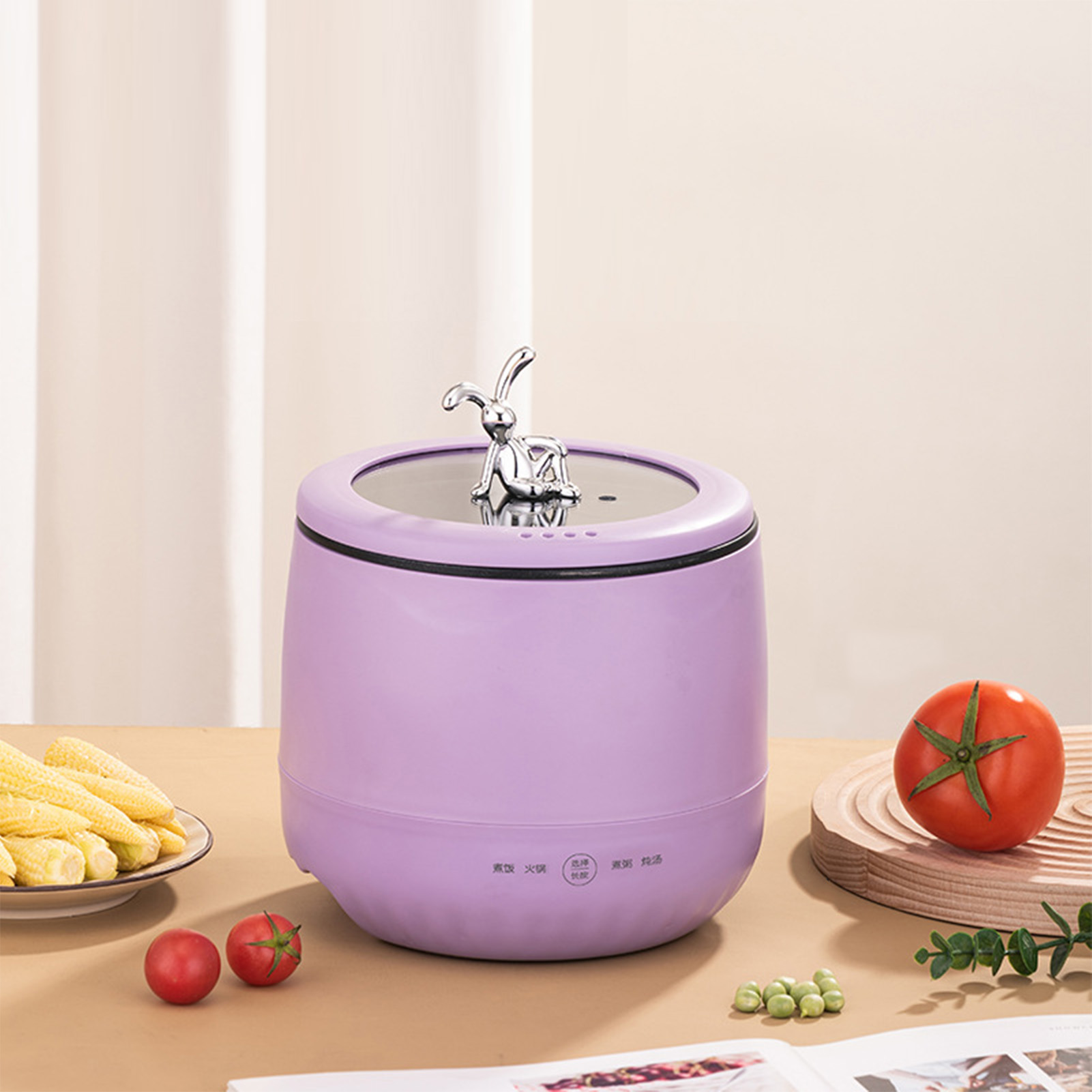Smart Electric Mini Rice Cooke - Meal Prep With Rice review and price