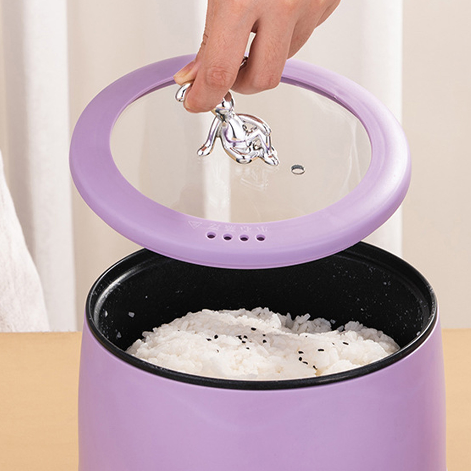 Smart Electric Mini Rice Cooke - Meal Prep With Rice review and price