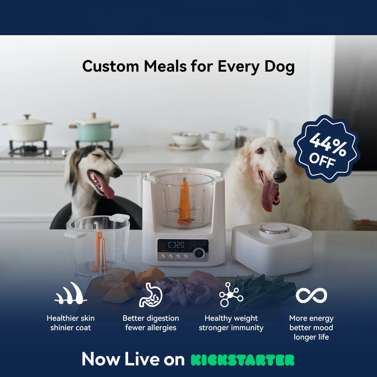 Automatic Pet Food Maker - Sma - Meal Prep Simple review and price